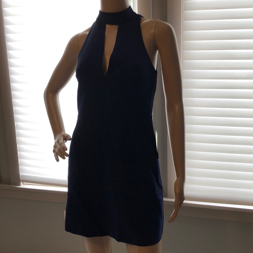 Express Aline Dress